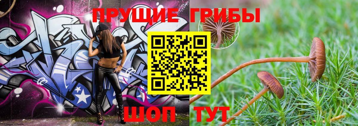 Галлюциногенные грибы Magic Shrooms Бирск